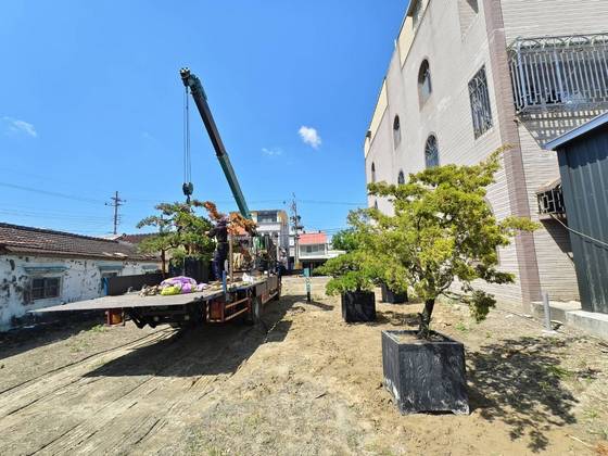 安平載運安南區 樹木運輸