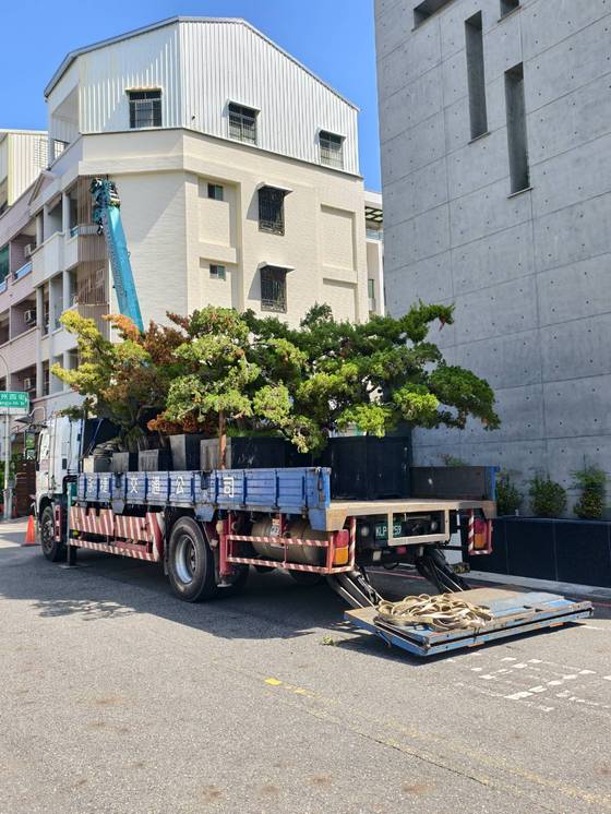 安平載運安南區 樹木運輸