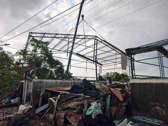 白河區 鐵屋矮化切割降低工程