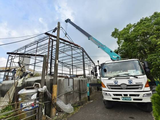 白河區 鐵屋矮化切割降低工程